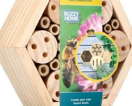 Biodiversité Hôtel à insectes abeilles