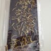 chocolat noir aux ténébrions meuniers