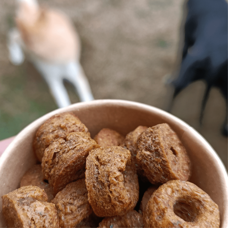 Donuts friandises pour chien