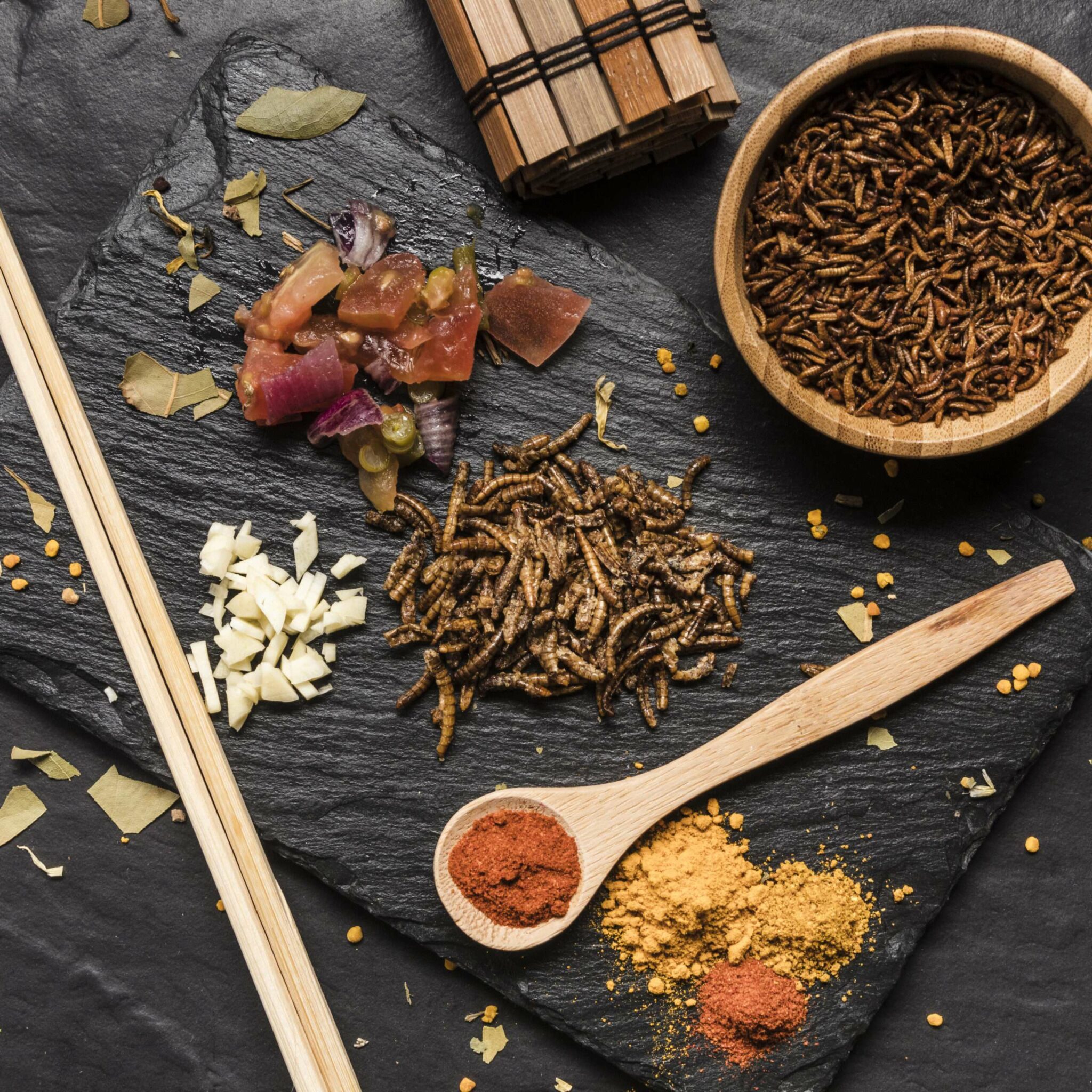 Cuisiner des insectes comestibles