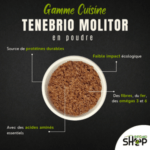 Gamme cuisine tenebrio molitor