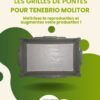 grille de pontes