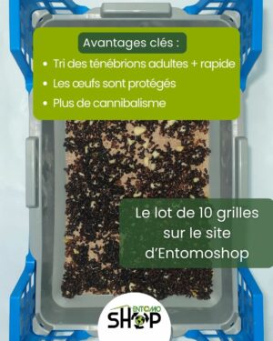 Grille de ponte pour ténébrions meuniers (Tenebrio Molitor) – Image 9