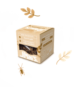 Insectes comestibles le grillon nature