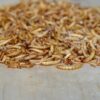 Vers de farine déshydratés français: nourriture naturelle pour oiseaux, poissons et tortues - 1kg – Image 9