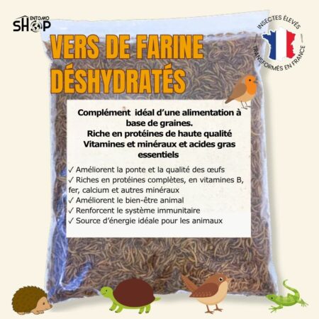 Vers de farine déshydratés français: nourriture naturelle pour oiseaux, poissons et tortues – 1kg