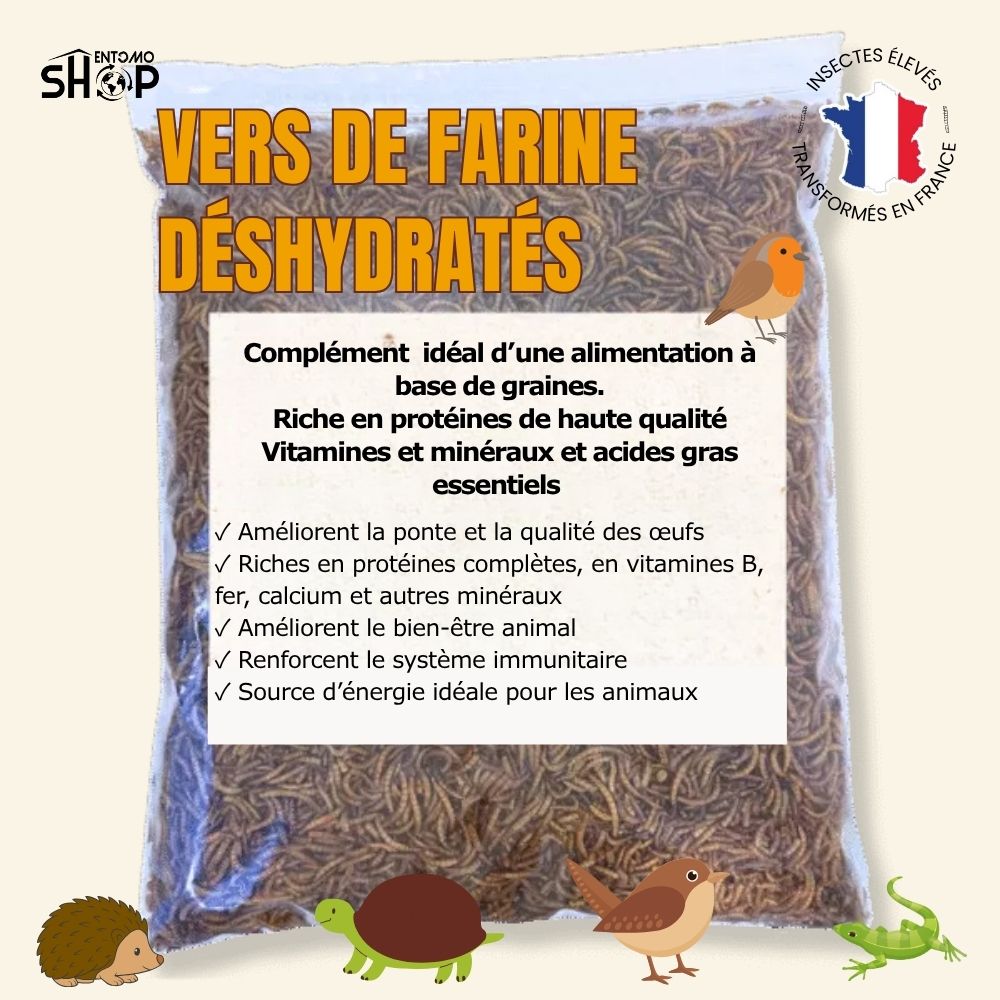 Vers de farine déshydratés français: nourriture naturelle pour oiseaux, poissons et tortues – 1kg