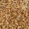 Vers de farine déshydratés français: nourriture naturelle pour oiseaux, poissons et tortues - 1kg – Image 4