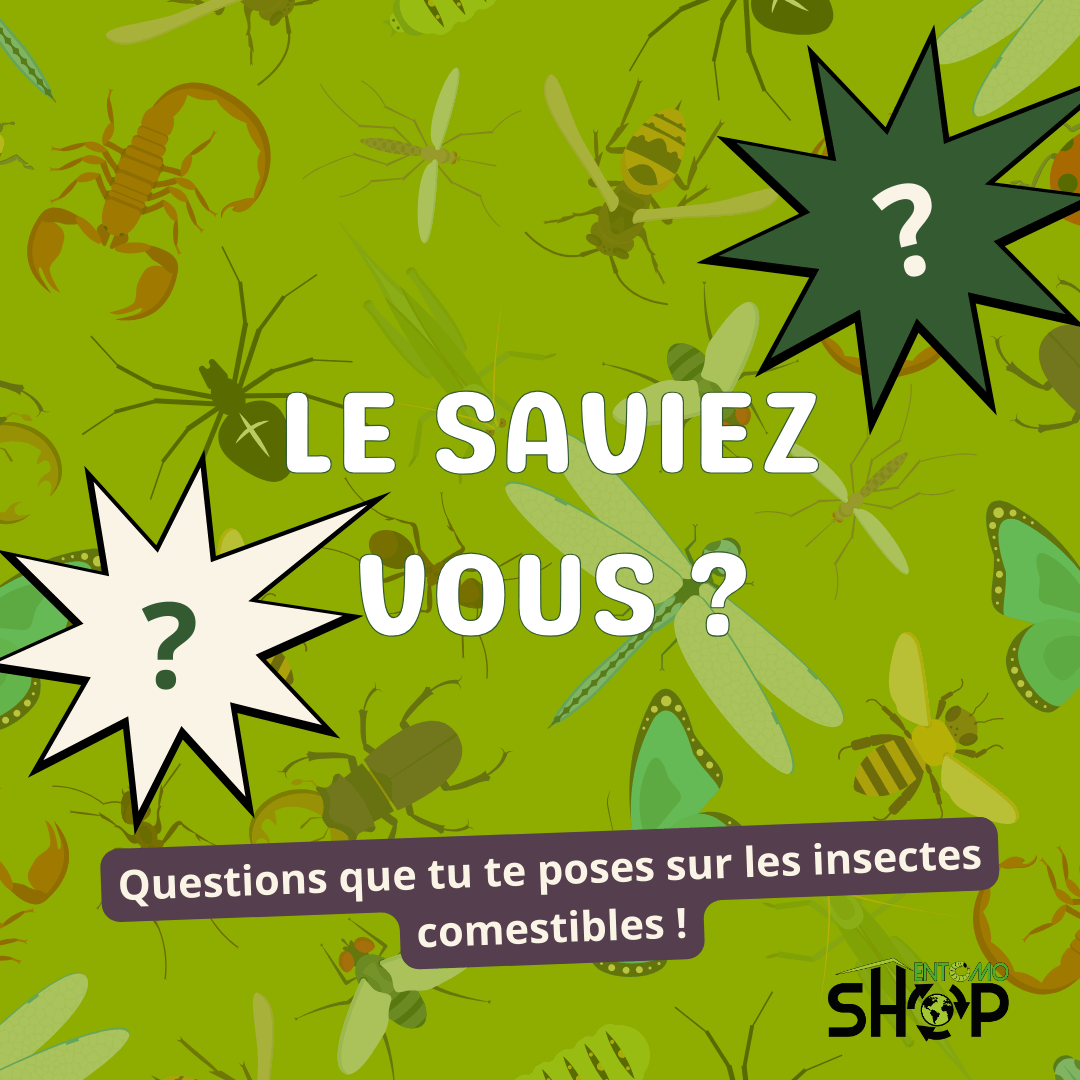 🧐Le saviez-vous ? Les insectes comestibles 🐛 - Entomoshop