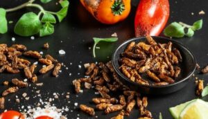CHALLENGE GRILLONS (4x20g) – Image 3