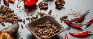 CHALLENGE GRILLONS (4x20g) – Image 4