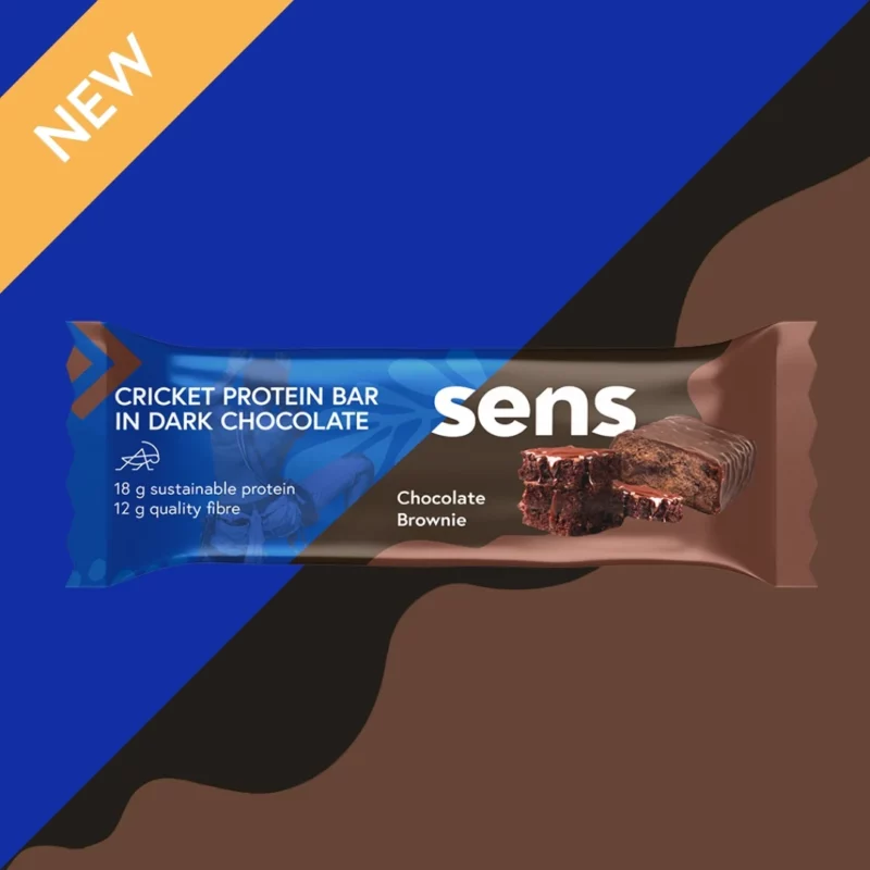 Barre protéinée Grillon au chocolat noir brownie (60g)