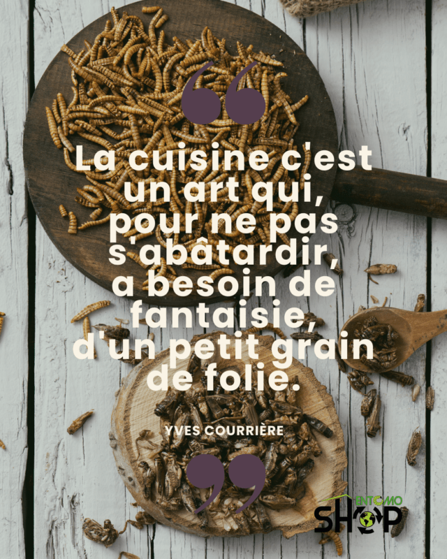 La cuisine : un art qui se nourrit de folie