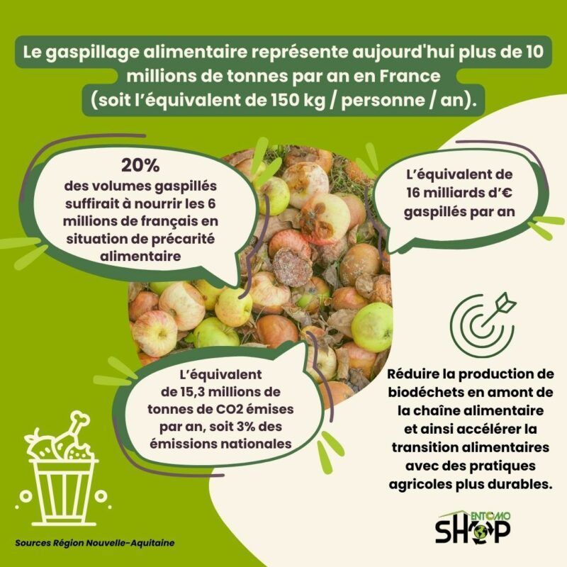 Gaspillage alimentaire et élevage d'insectes