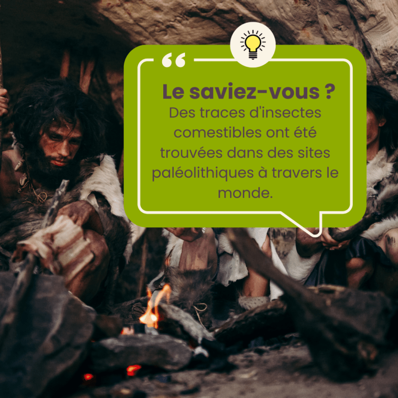 L'idée de consommer des insectes peut sembler rebutante pour certains, mais elle est loin d'être nouvelle. Des preuves archéologiques suggèrent que nos ancêtres paléolithiques étaient friands d'insectes comestibles.