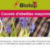 Abeilles maçonnes pollinisatrices – Image 9