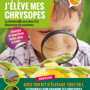 Kit pédagogique chrysopes