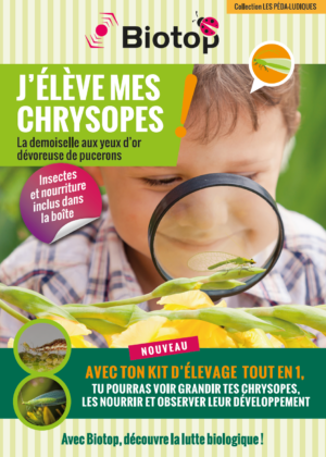 Kit pédagogique chrysopes