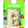 COCCINELLES - ANTI PUCERONS – Image 7