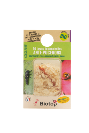Boite de 50 larves de coccinelles : pour protéger 5 à 10 rosiers, jusqu'à 5 lauriers roses ou jusqu'à 10 m² de plantes basses..
