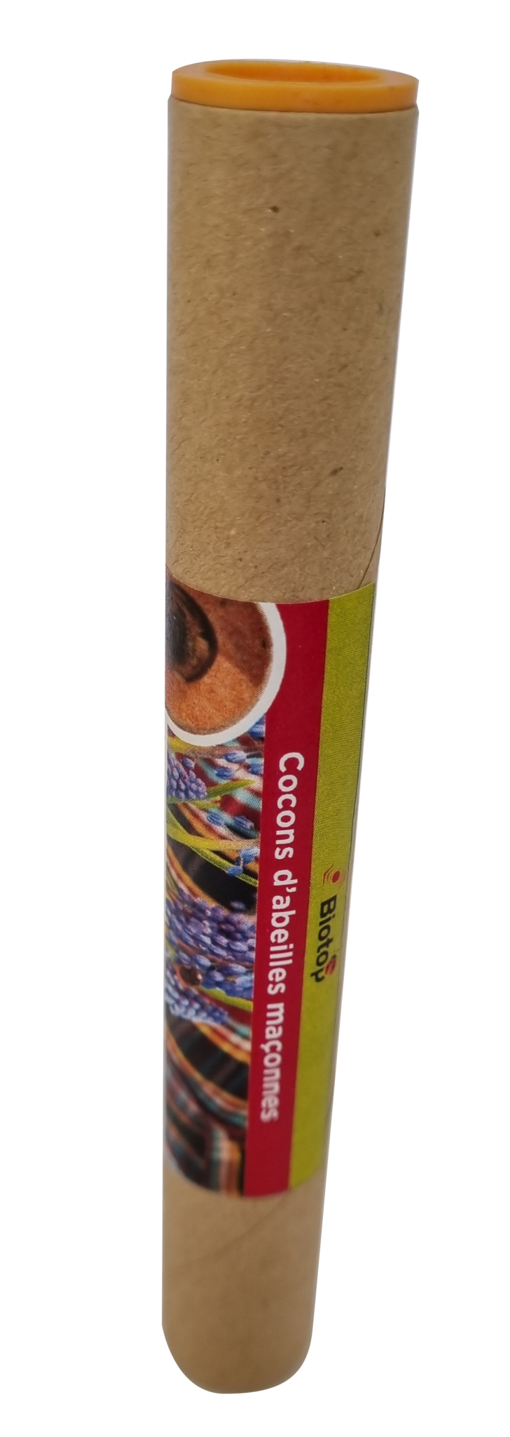 Abeilles maçonnes pollinisatrices – Image 10