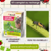 kit coccinelles