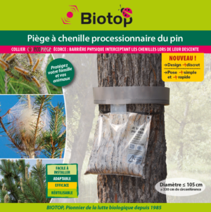 Piège à chenille processionnaire du pin – Image 6