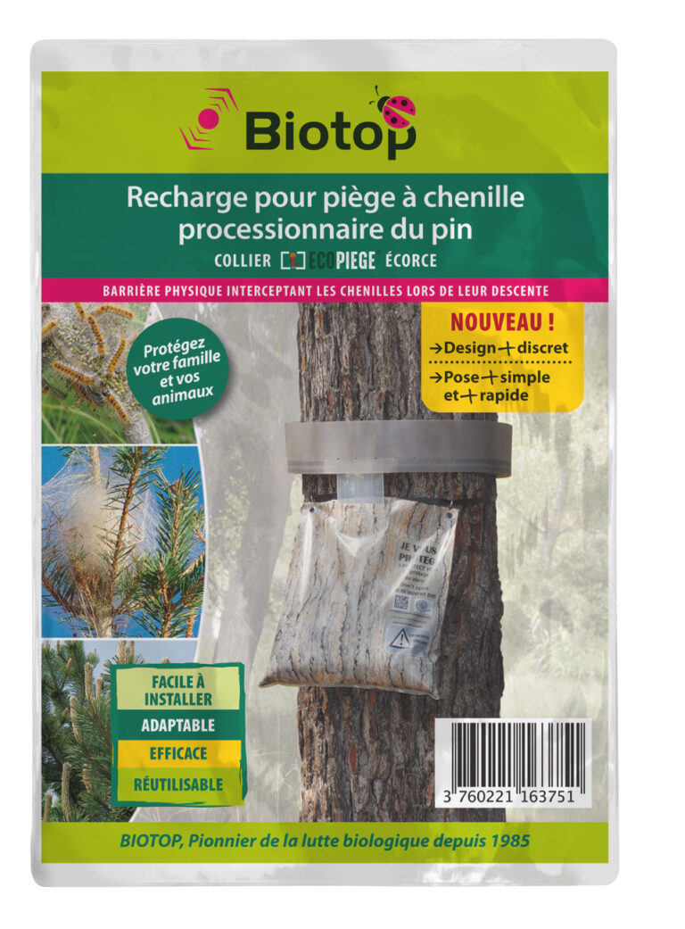 Massó 231640 Piège pour Chenille processionnaire du pin, Noir
