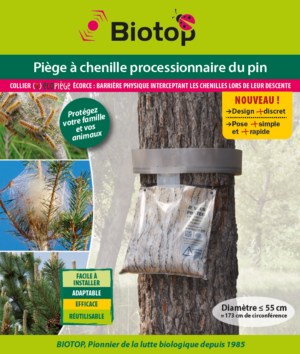 Piège à chenille processionnaire du pin – Image 10