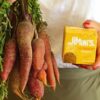 Le criquet curry jaune – Image 4