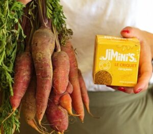 Le criquet curry jaune – Image 4