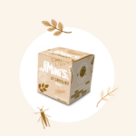 criquet nature locusta migratoria