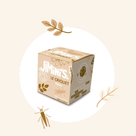 criquet nature locusta migratoria