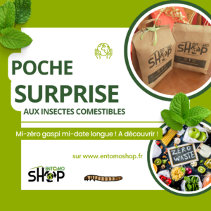 poche surprise aux insectes comestibles