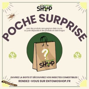 Surprise aux insectes comestibles