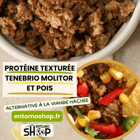 Protéines texturées insectes Tenebrio Molitor alternative viande