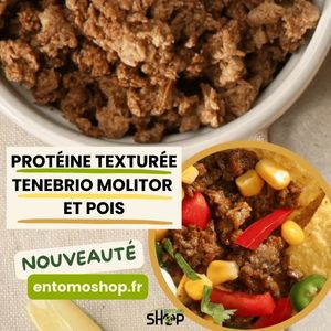 Protéines texturées Tenebrio Molitor