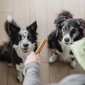 Luxx Dental Sticks -250g – Image 5