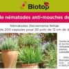 CAPSULES DE NÉMATODES ANTI MOUCHE DU TERREAU