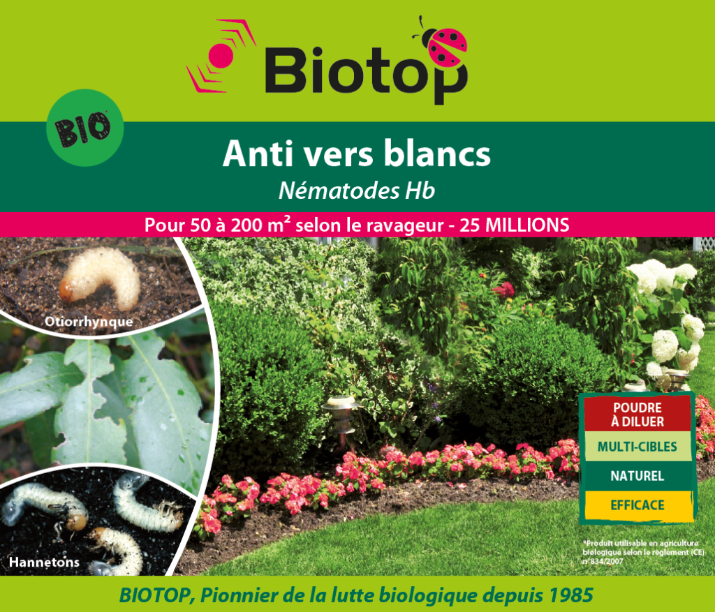 Nématodes Hb anti vers blancs