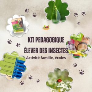 KIT PEDAGOGIQUE INSECTES