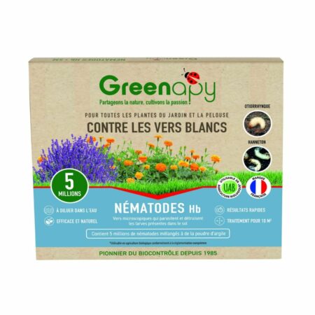 Nématodes Hb Anti-Vers Blancs, Otiorrhynques et Hannetons