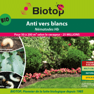 Nématodes anti-vers blancs, larves d’otiorrhynques et de hannetons (Heterorhabditis bacteriophora)
