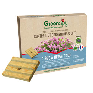 Piège Otiorrhynque Adulte aux Nématodes - Protection Naturelle