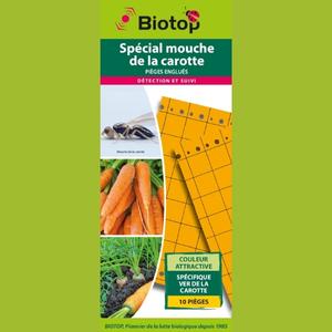 Pièges chromatiques orange englués contre la mouche de la carotte, panais et céleri