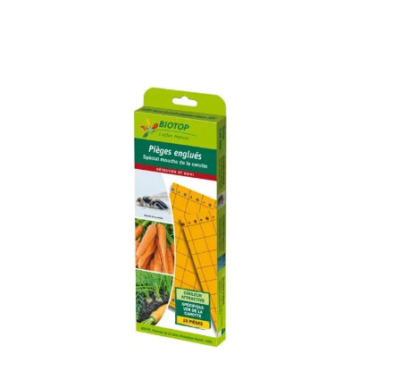 Pièges chromatiques orange englués contre la mouche de la carotte, panais et céleri