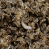 BioCycle Compost – Image 3