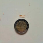 taille d'une microlarve