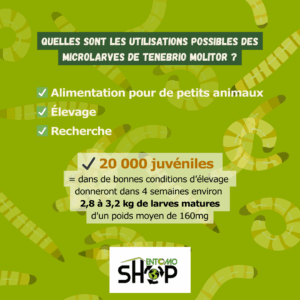 Microlarves de Vers de Farine