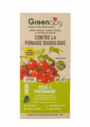 PIEGE ANTI-PUNAISES DIABOLIQUES AVEC ENTONNOIR